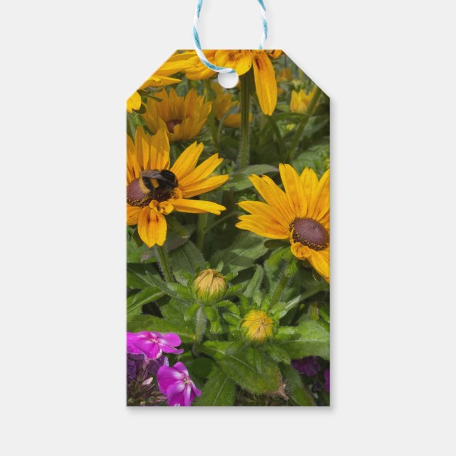 Gelbe Rudbeckia-Blume Rosa Phlox und Biene Geschenkanhänger (Vorderseite)