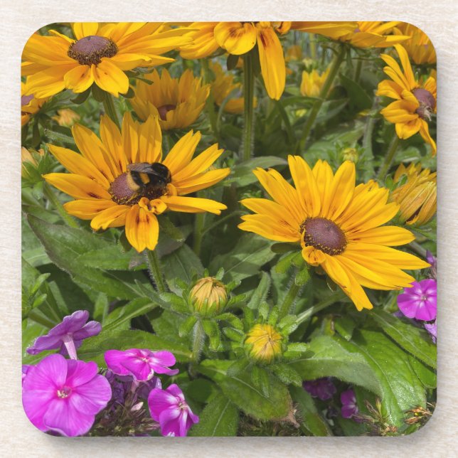 Gelbe Rudbeckia-Blume Rosa Phlox und Biene Getränkeuntersetzer (Vorderseite)