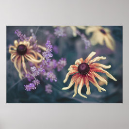 Gelbe Rudbeckie und Lila Lavendel Poster