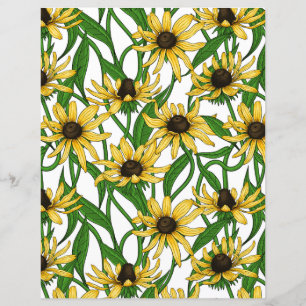 Gelbe Rudbekie auf Weiß