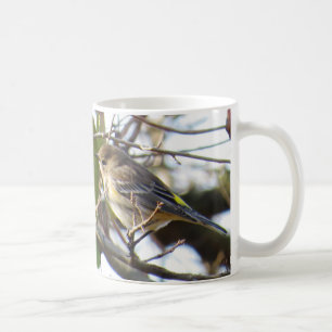 Gelbe-rumped Trällerer-Kaffee-Tasse Tasse