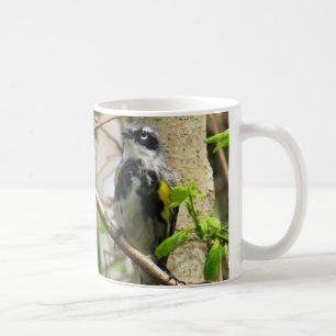 Gelbe-rumped Trällerer-Kaffee-Tasse Tasse