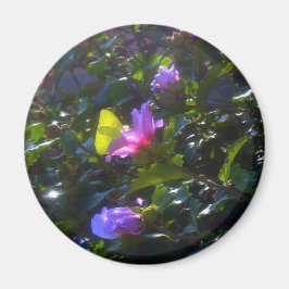 Gelbe Schmetterling auf Rosa Rose von Sharon Magnet