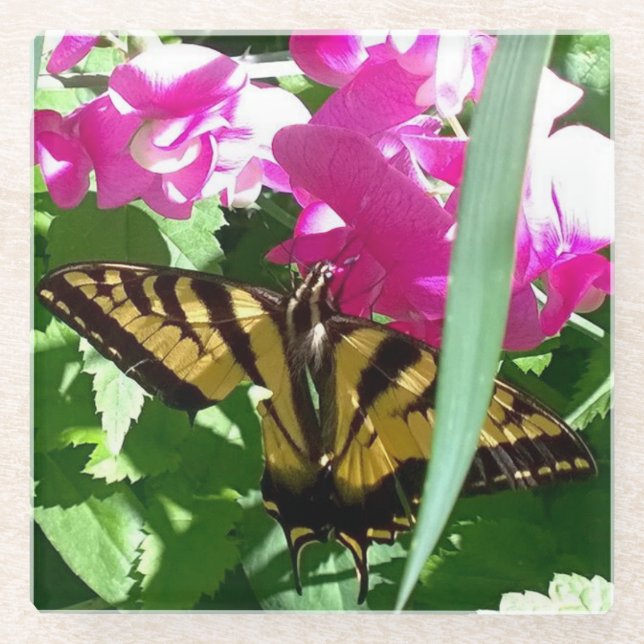 Gelbe Schmetterling im Frühling Glasuntersetzer (Vorderseite)