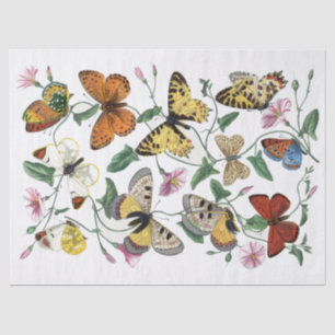 Gelbe Schmetterling Morning Glory Blumen Decoupage Seidenpapier