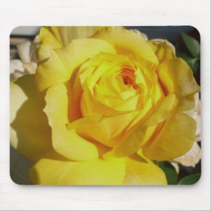 Gelbe Schönheits-Rose Mousepad
