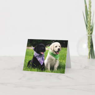 Gelbe & schwarze Labrador Retriever Welpen Grußkar Karte