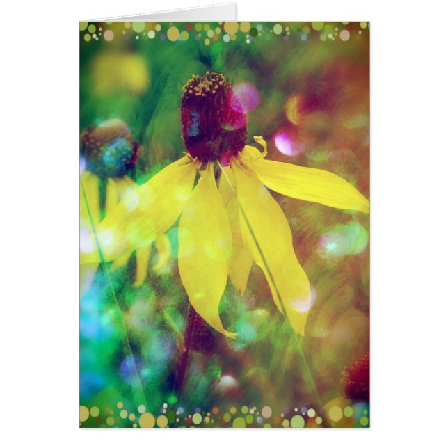 Gelbe Sommer-Wildblume (Vorne)