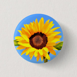 Gelbe Sonnenblume auf blauem Himmel Button