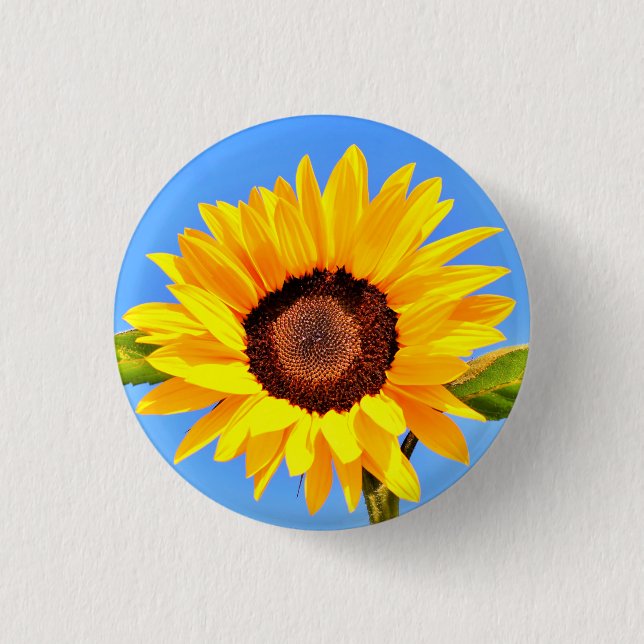 Gelbe Sonnenblume auf blauem Himmel Button (Vorderseite)