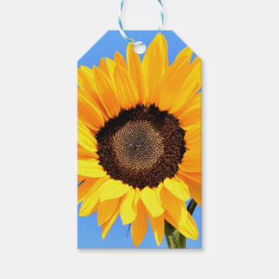 Gelbe Sonnenblume auf blauem Himmel - Sommer Geschenkanhänger