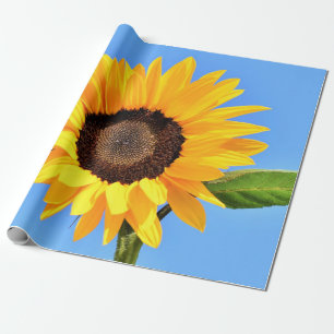 Gelbe Sonnenblume auf blauem Himmel - Sommer Geschenkpapier