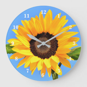 Gelbe Sonnenblume auf blauem Himmel - Sommer Große Wanduhr