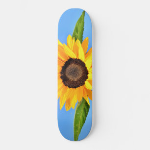 Gelbe Sonnenblume auf blauem Himmel - Sommer Skateboard