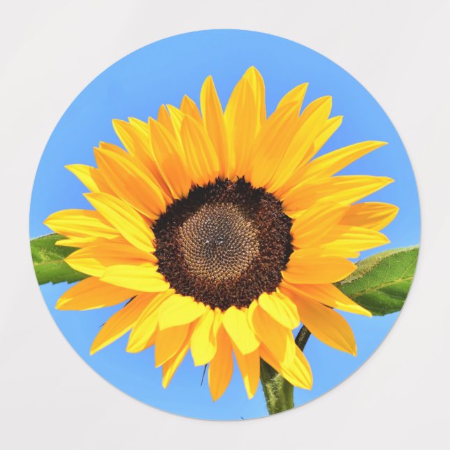 Gelbe Sonnenblume auf blauen Himmelsmarken Etiketten (Design 1)