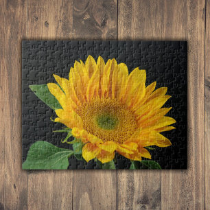 Gelbe Sonnenblume auf schwarzem Hintergrund Puzzle