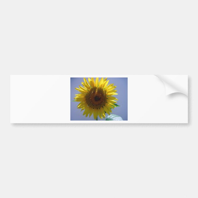 Gelbe Sonnenblume Autoaufkleber (Vorne)