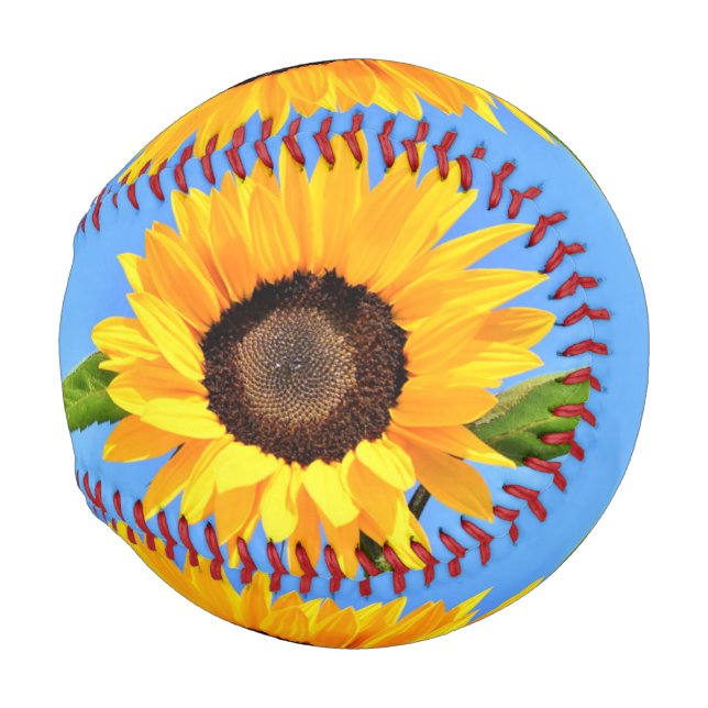 Gelbe Sonnenblume Baseball (Vorne Rechts)
