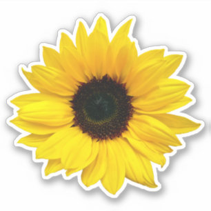 Gelbe Sonnenblume Blume Kiss-Cut Sticker