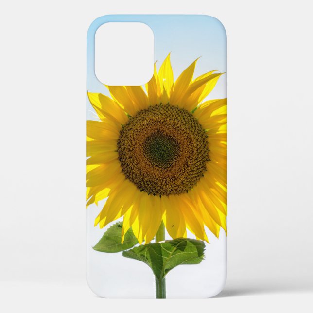Gelbe Sonnenblume Case-Mate iPhone Hülle (Rückseite)
