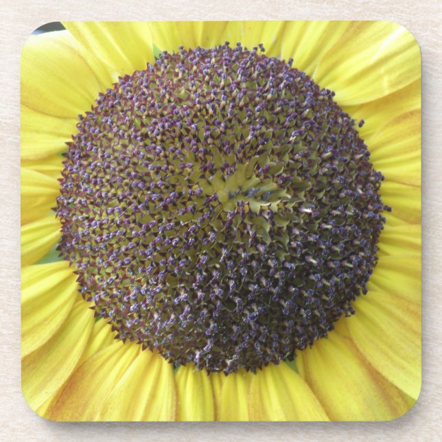 Gelbe Sonnenblume Cork Untersetzer (Vorderseite)