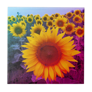 Gelbe Sonnenblume farbenfrohe Sommerernte Fliese