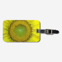 Gelbe Sonnenblume