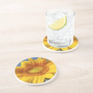 Gelbe Sonnenblume Getränkeuntersetzer