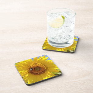 Gelbe Sonnenblume Getränkeuntersetzer