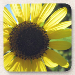 Gelbe Sonnenblume Getränkeuntersetzer
