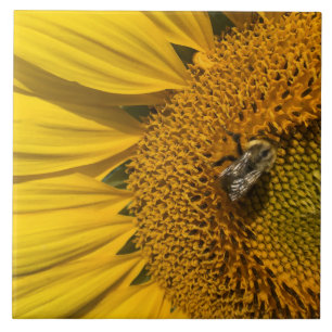 Gelbe Sonnenblume Honigbiene Keramik Tile Fliese