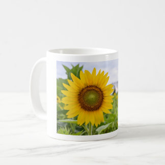 Gelbe Sonnenblume Kaffeetasse