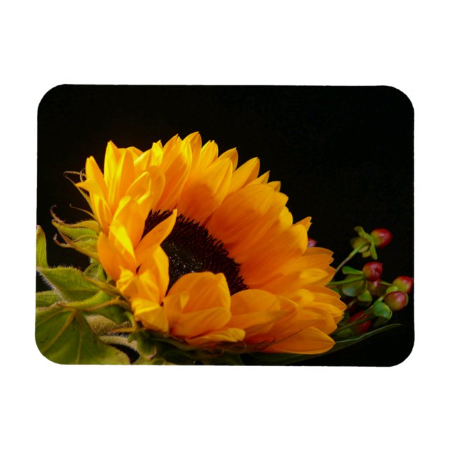 Gelbe Sonnenblume Magnet (Horizontal)