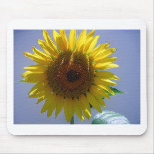 Gelbe Sonnenblume Mousepad