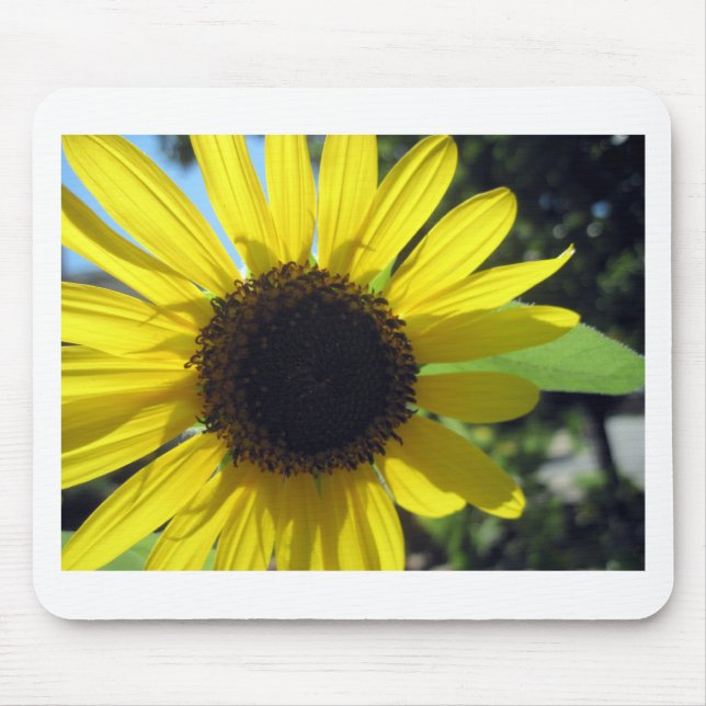 Gelbe Sonnenblume Mousepad (Vorne)