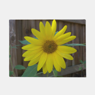 Gelbe Sonnenblume nahe einem braunen Zaun auf eine Fußmatte