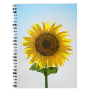 Gelbe Sonnenblume Notizblock