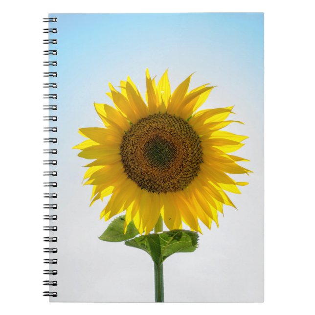 Gelbe Sonnenblume Notizblock (Vorderseite)