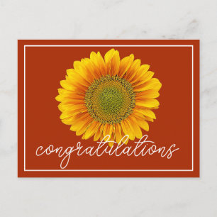Gelbe Sonnenblume Orange Hintergrund Herzlichen Gl Postkarte