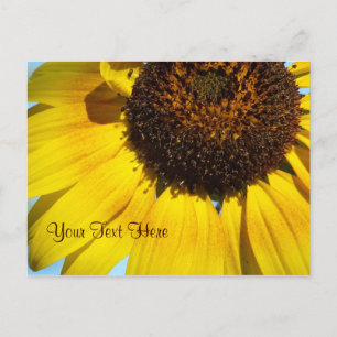 Gelbe Sonnenblume Postkarte. - personalisierbar Postkarte