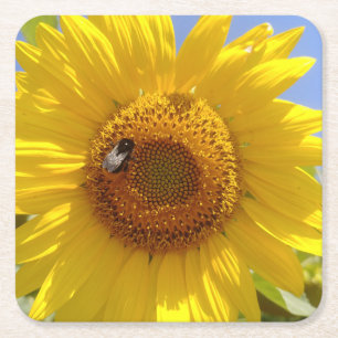 Gelbe Sonnenblume Rechteckiger Pappuntersetzer