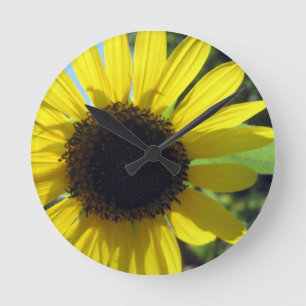 Gelbe Sonnenblume Runde Wanduhr