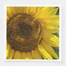 Gelbe Sonnenblume