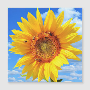 Gelbe Sonnenblume und Bienenkarte Magnetkarte