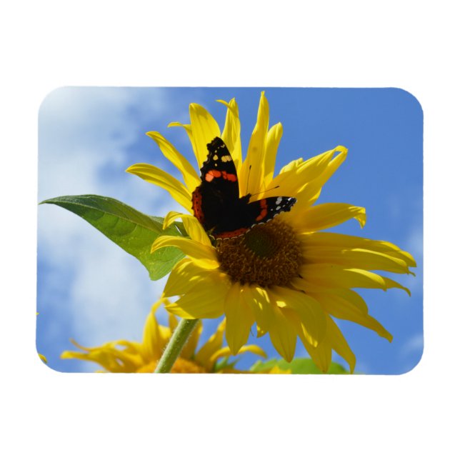 Gelbe Sonnenblume und Roter Admiral Butterfly Magnet (Horizontal)