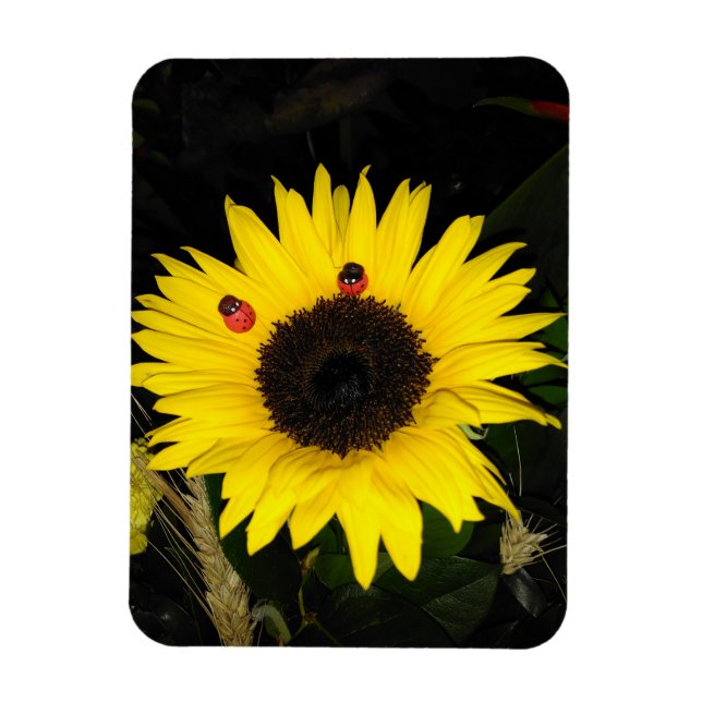 Gelbe Sonnenblume und zwei Ladybugs Magnet (Vertikal)