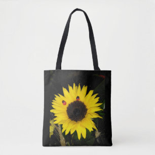 Gelbe Sonnenblume und zwei Marienkäfer