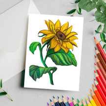 Gelbe Sonnenblume Zeichne Farbstift