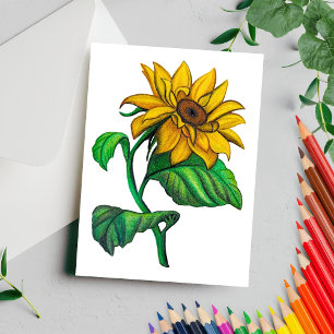 Gelbe Sonnenblume Zeichne Farbstift Postkarte
