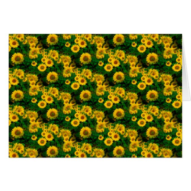 Gelbe Sonnenblumen (Vorderseite (Horizontal))
